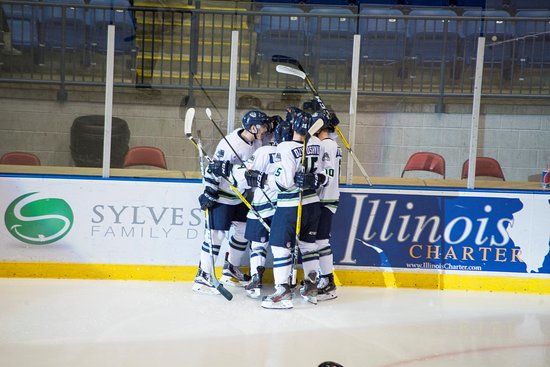 Grossinger Motors Arena